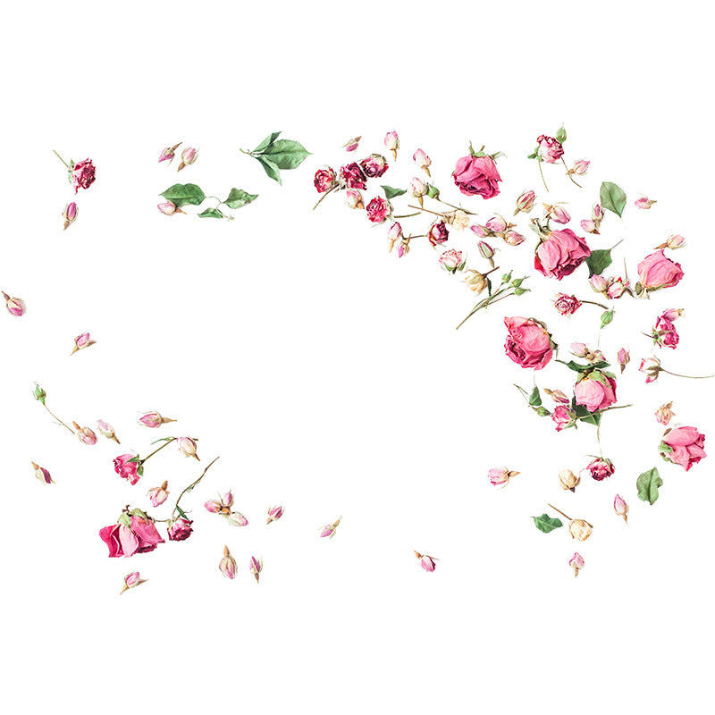 Adesivo murale rose secche