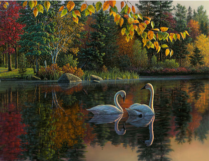 Kit Pittura Cigni d'Autunno