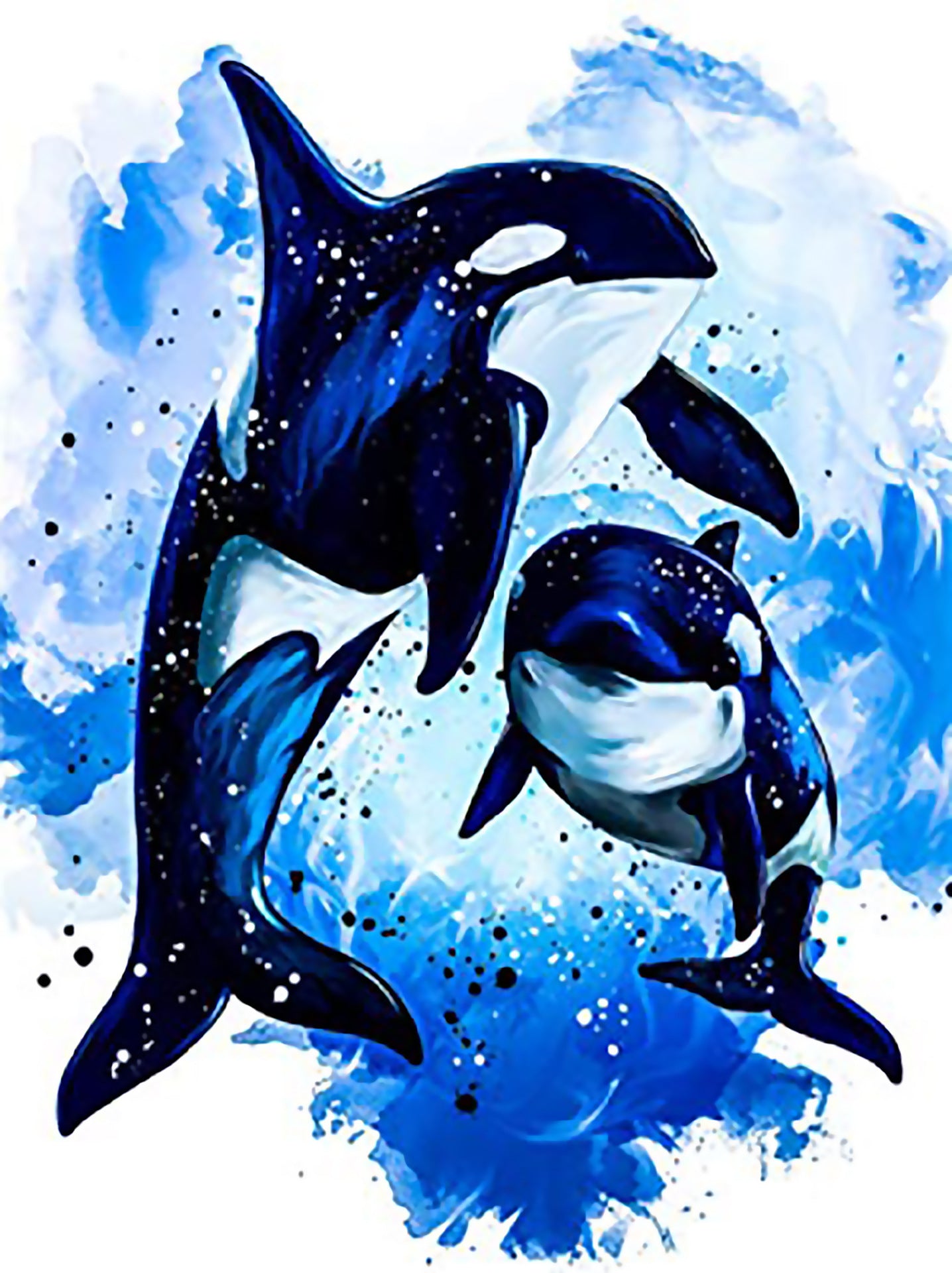Quadro da colorare
