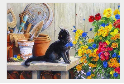 Kit Dipingere Numero Gatto