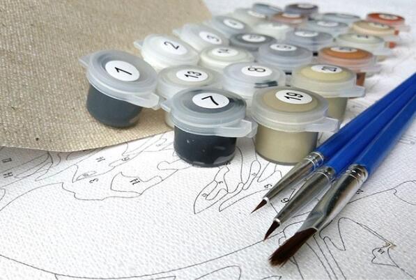 Pittura Numerata Gufo