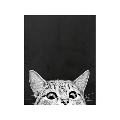 Quadro gatto bianco-nero