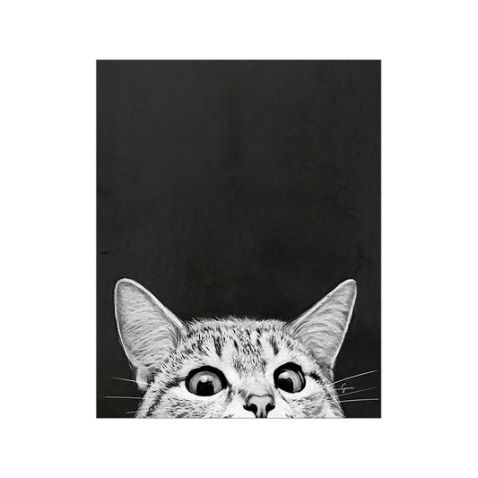 Adesivo murale Gatto sorpreso primo piano fondo nero