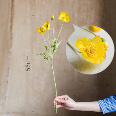 Vaso Trasparente