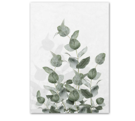 Poster Succulenta e figura femminile stilizzata
