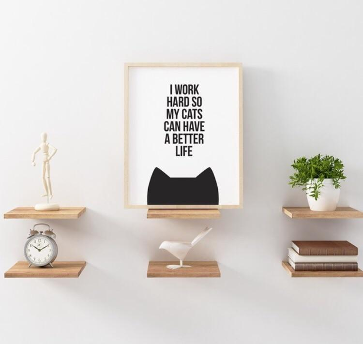 Poster gatto