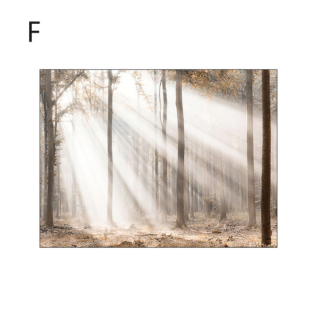 Paesaggio nordico autunno