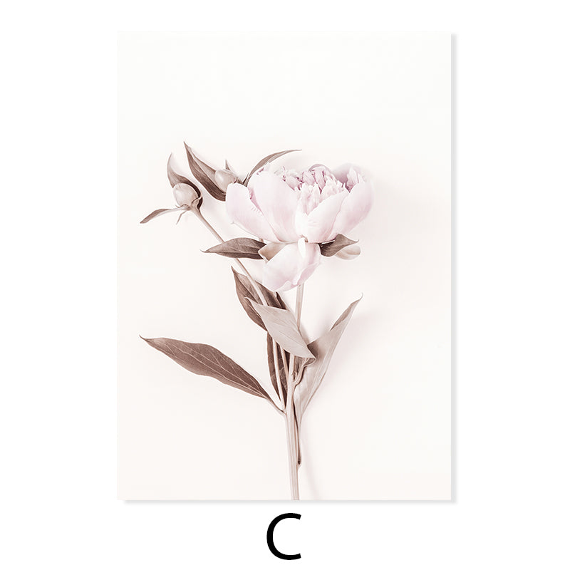 Quadro peonie