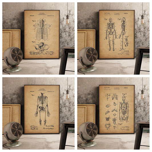 Poster Scheletro anatomico