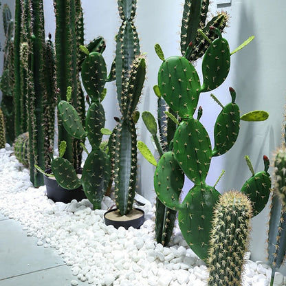 Pianta artificiale cereus