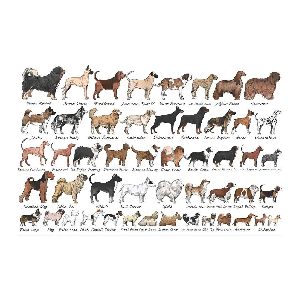 Quadro da parete Cani