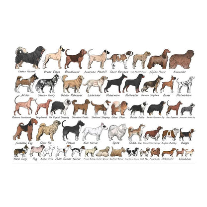 Quadro da parete Cani