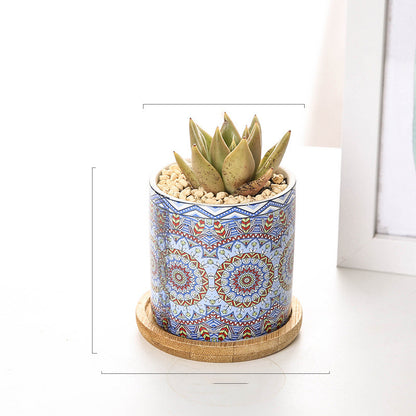 Vaso piante grasse mandala