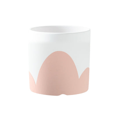 Vaso piante grasse