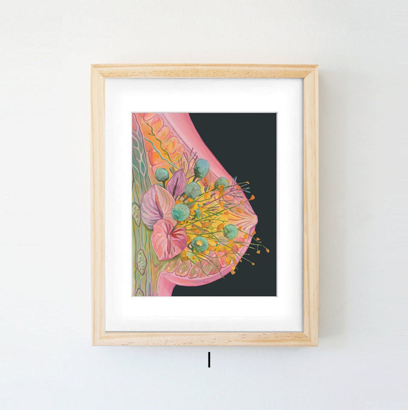 Quadro anatomico