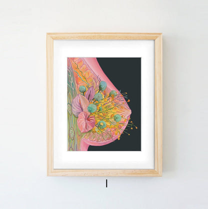 Quadro anatomico