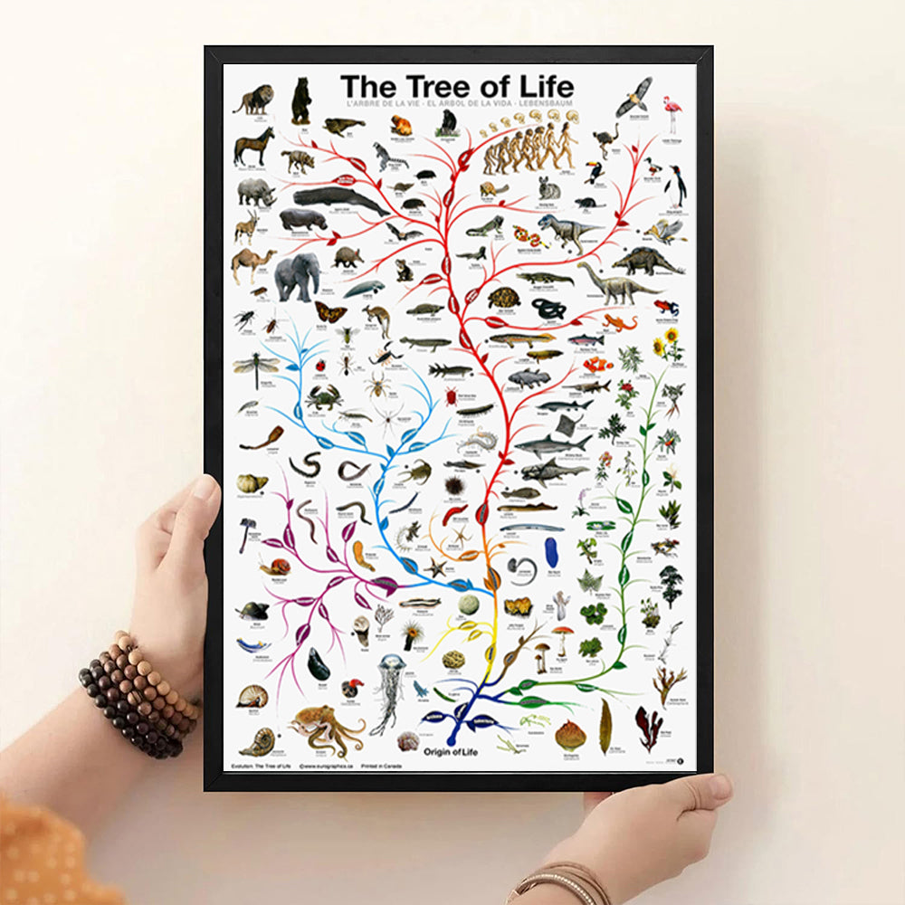 Poster albero della vita