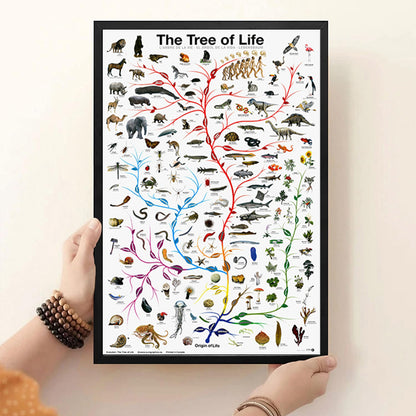 Poster albero della vita
