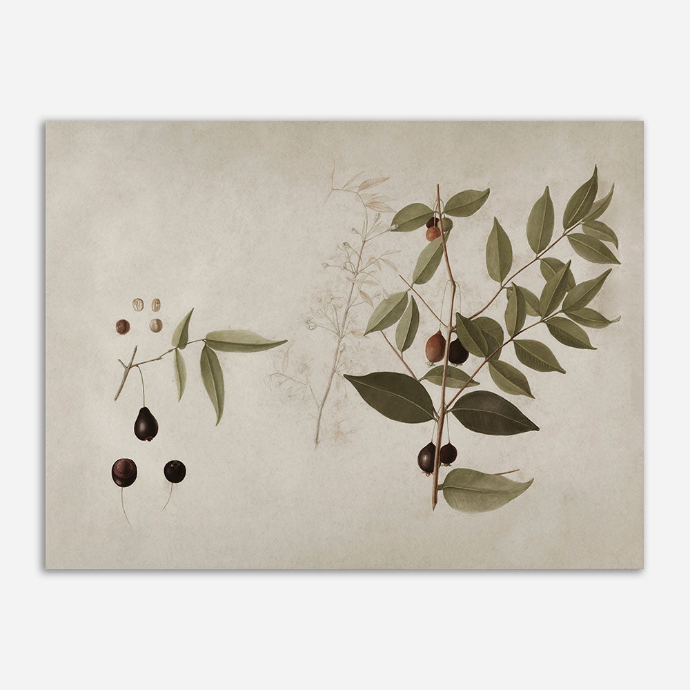 Quadro