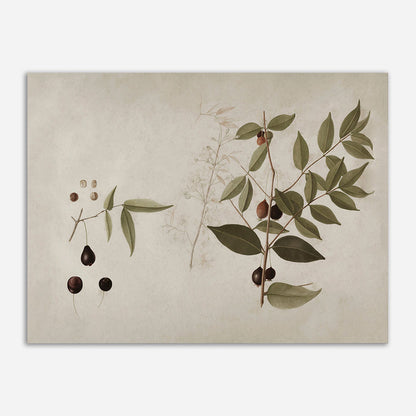 Quadro