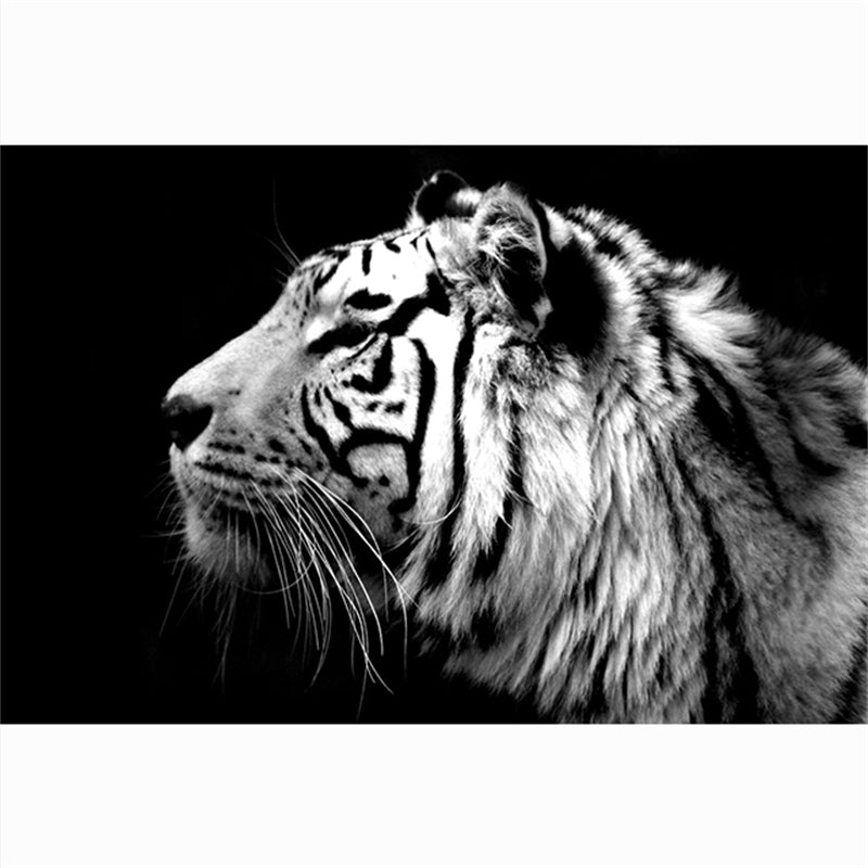 Quadro Testa di Tigre