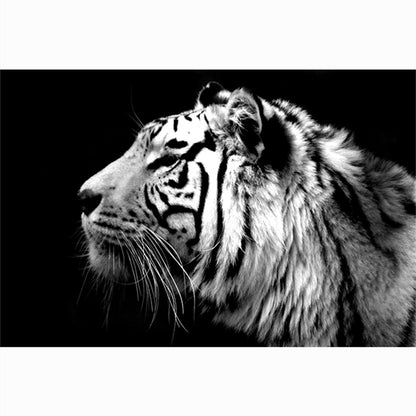 Quadro Testa di Tigre