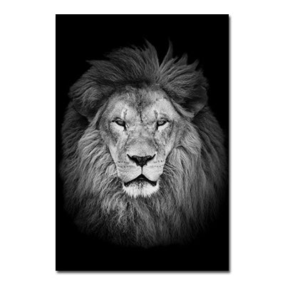 Poster tigre e leone bianco-nero