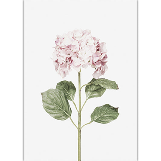 Quadro su tela Ortensia rosa