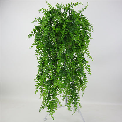 Decorazione parete piante