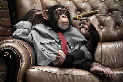 Quadro tela gorilla