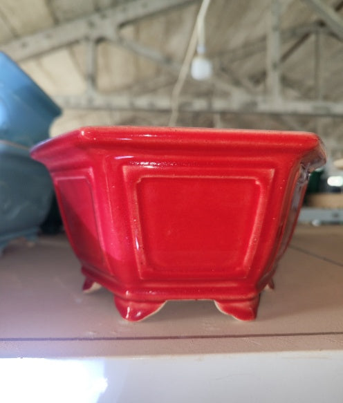 Vaso per piante