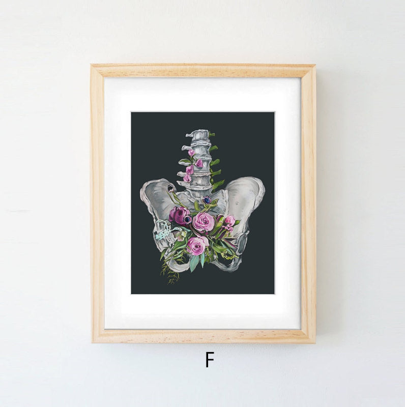Quadro anatomico