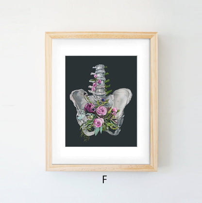 Quadro anatomico