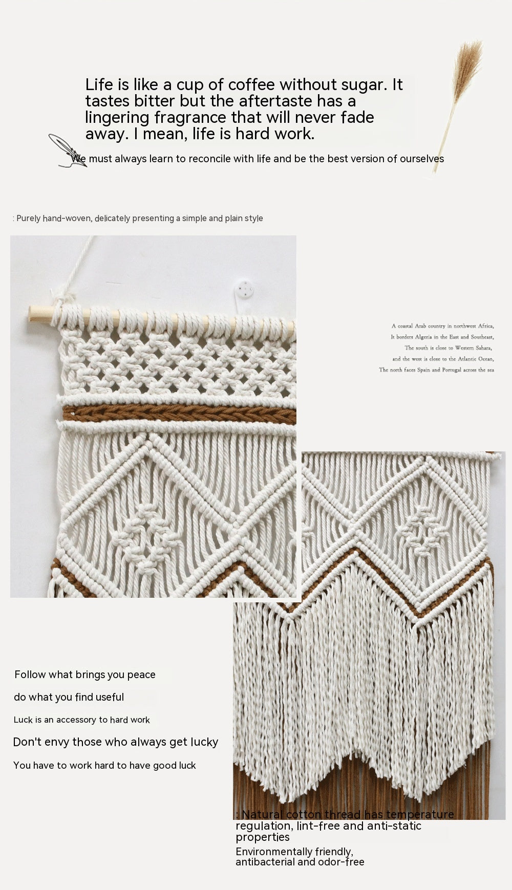 Tappezzeria Cotone
