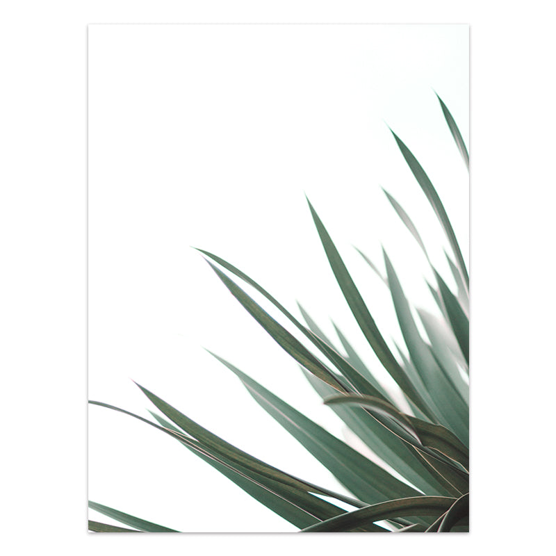 Quadro Piante tropicali