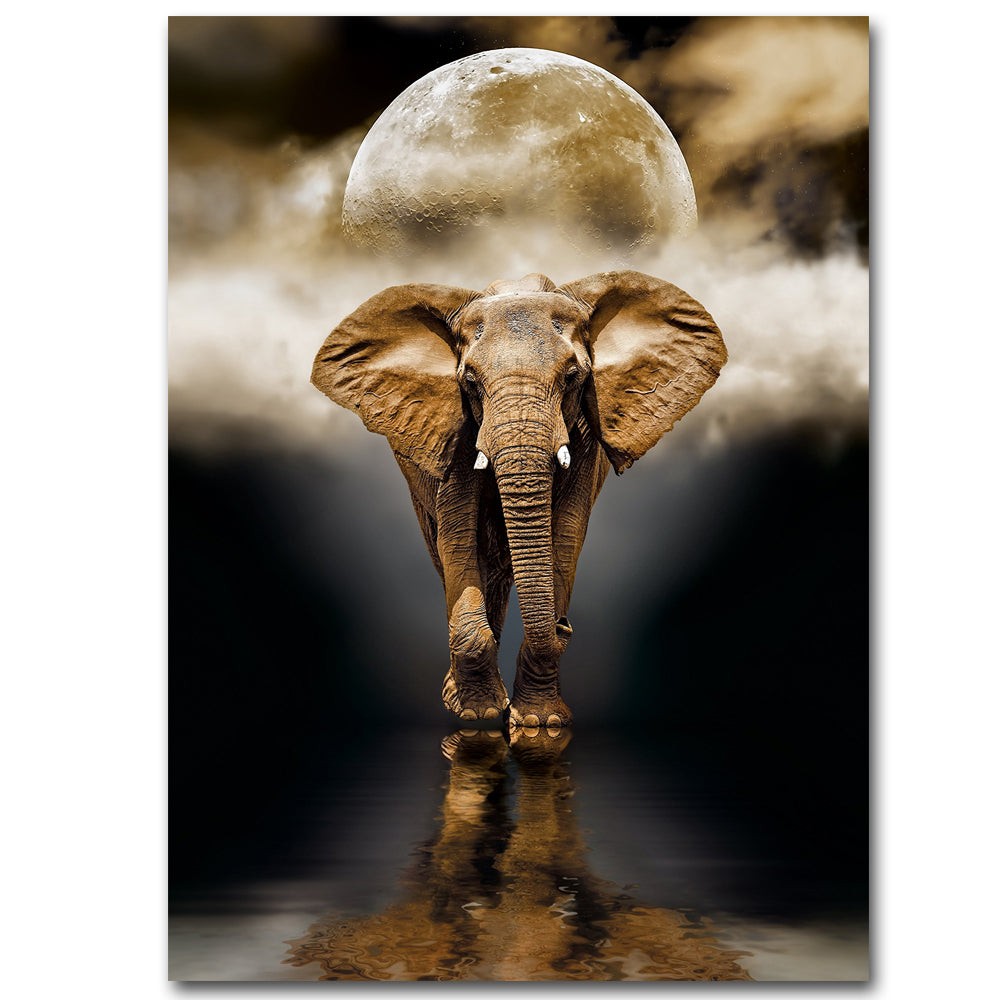 Quadro Elefante