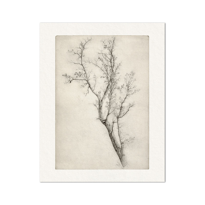 Quadro vintage