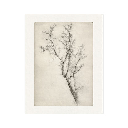 Quadro vintage
