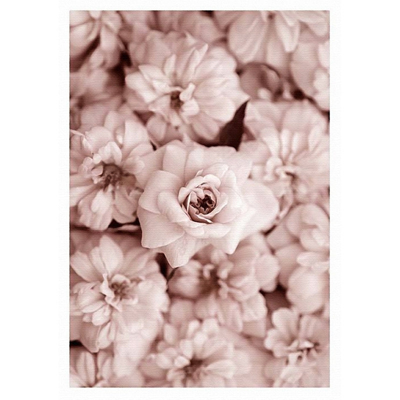 Poster Fiori peonie rosa fotografico realistico