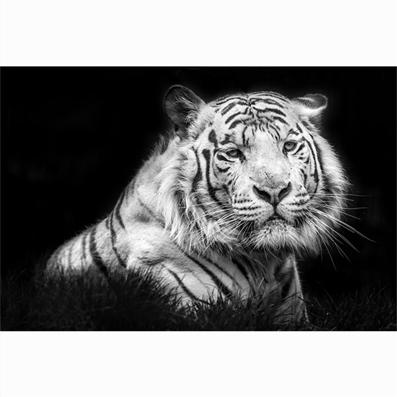Quadro Testa di Tigre