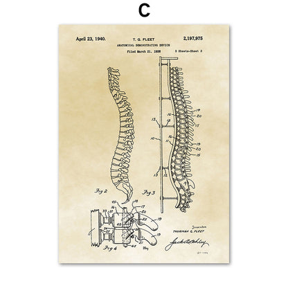 Tela Anatomia Vintage