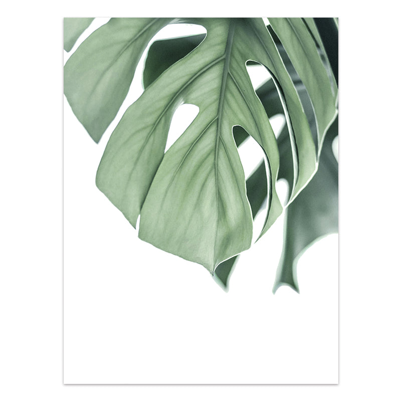Quadro Piante tropicali