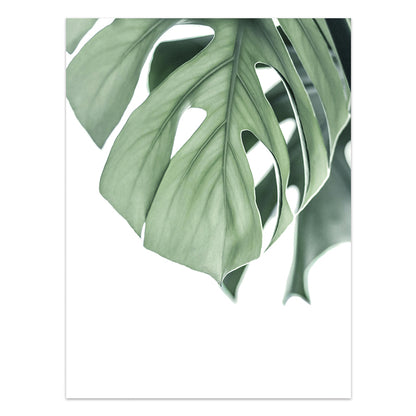 Quadro Piante tropicali