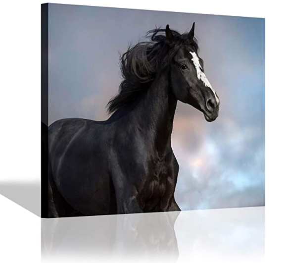 Quadro cavallo camera