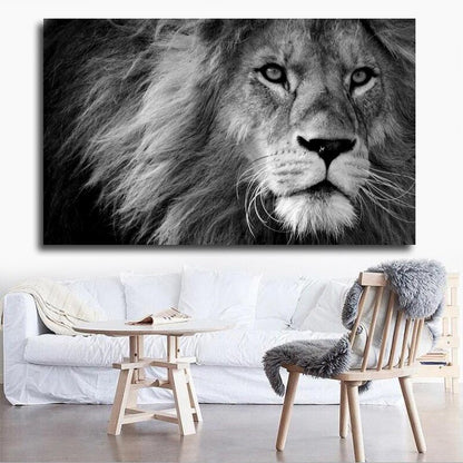 Poster tigre bianca