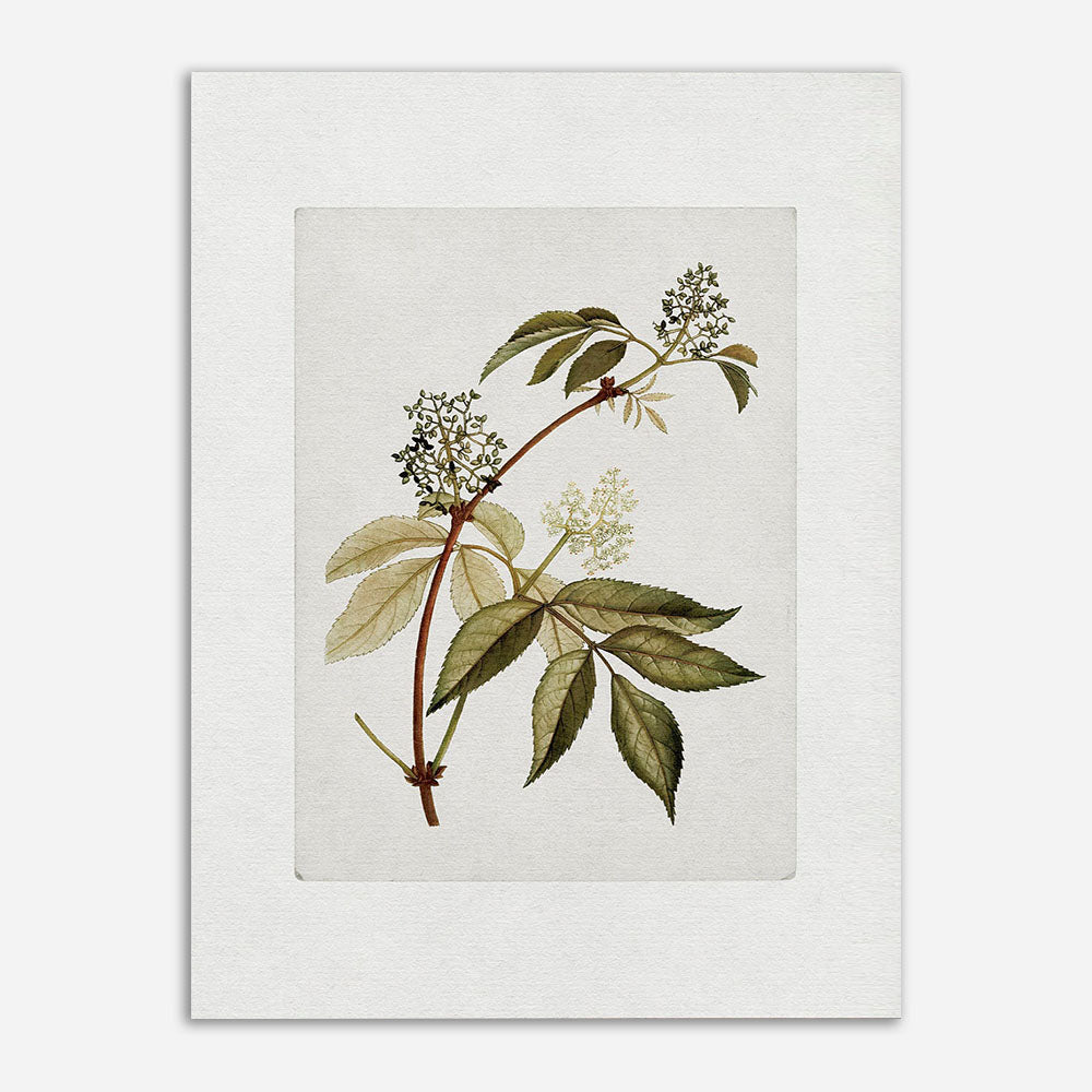 Quadro