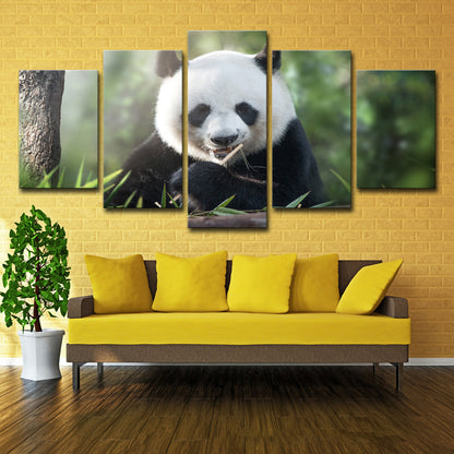 Poster Panda
