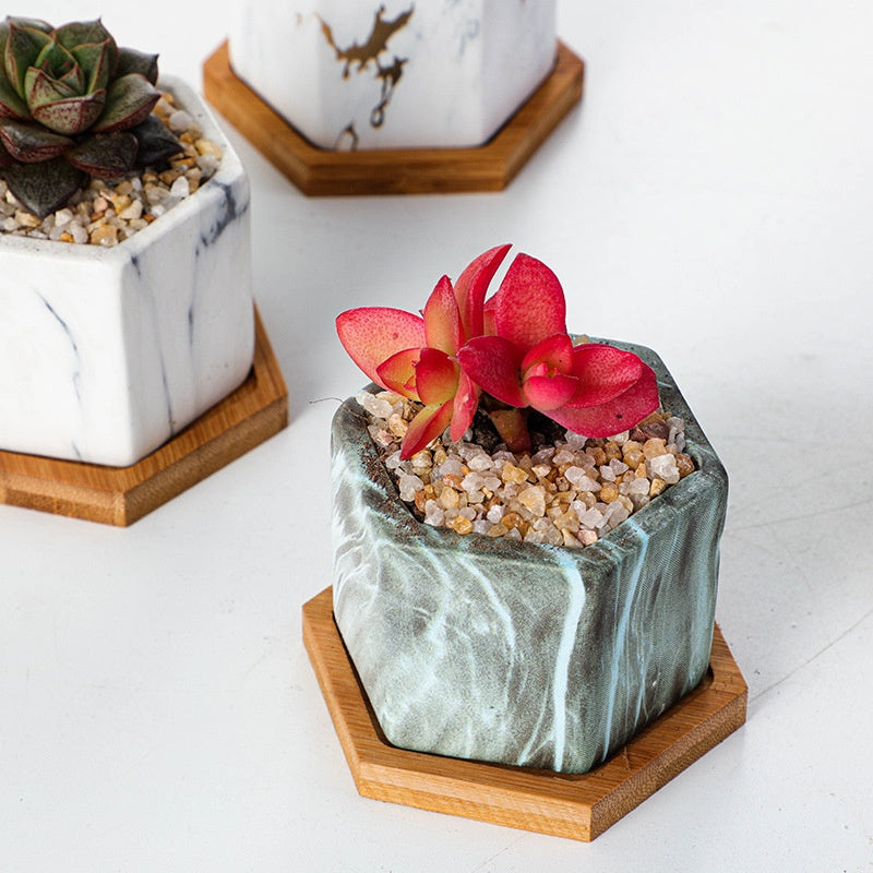 Vaso piante grasse ceramica