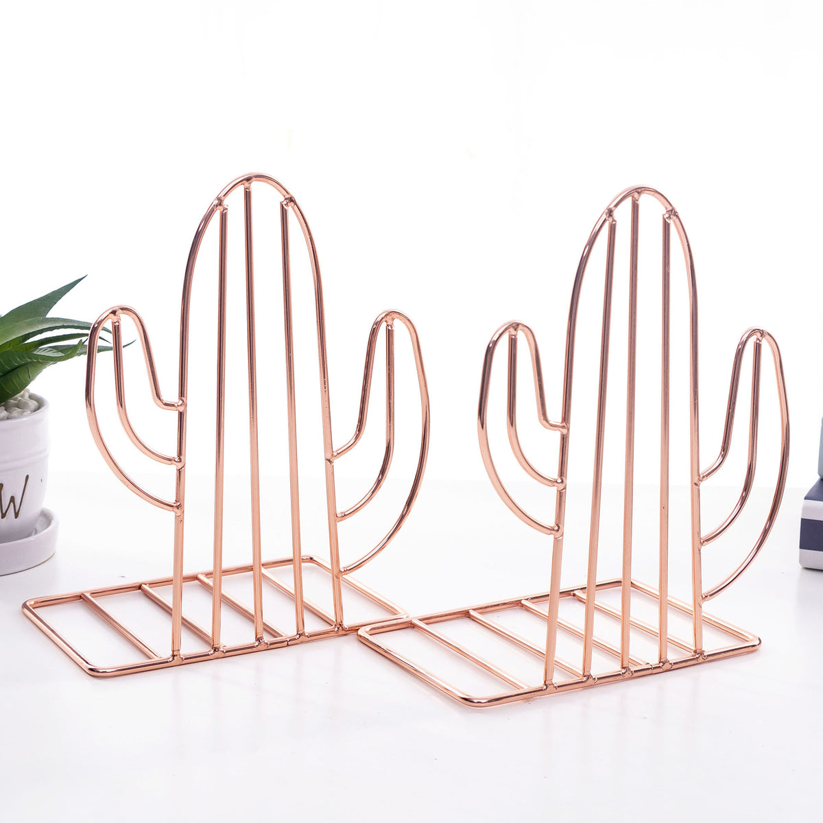 Reggilibri cactus metallo