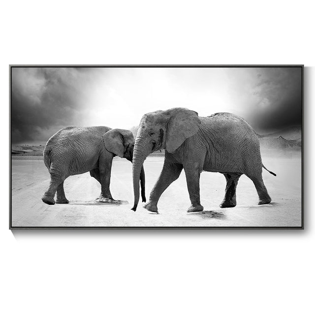 Poster elefante bianco nero